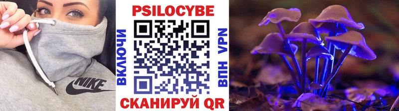 Псилоцибиновые грибы Cubensis  Дмитриев 